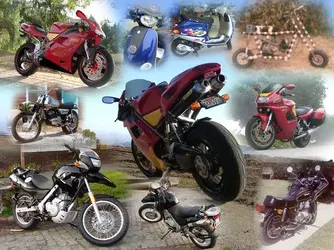 montage.webp