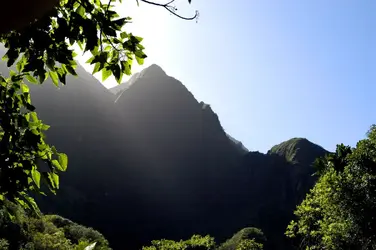 Scenic1.webp