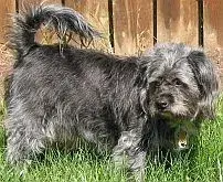 Molly-Sm.webp