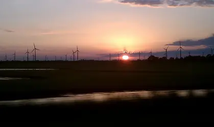 IMAG0065.webp