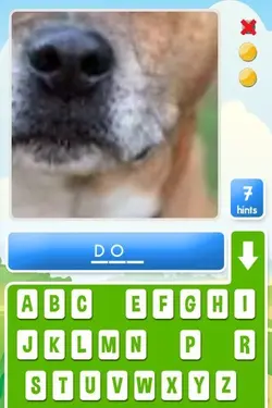 Guess x.webp Guess x.webp