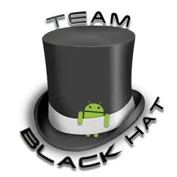 Team_Black_Hat_logo.webp