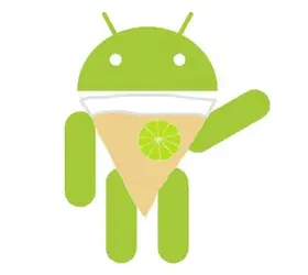 android-key-lime-pie.webp