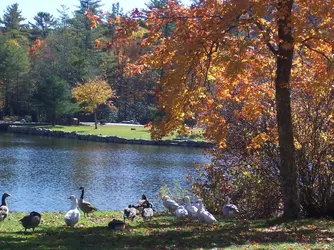 Cary NC 2.webp