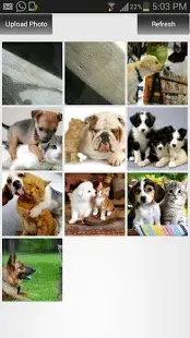 uioto.webp uioto.webp