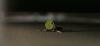 4652b68d5350be8a47188dc973b7ab3f_large.gif 4652b68d5350be8a47188dc973b7ab3f_large.gif