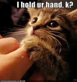 I hold your hand.webp