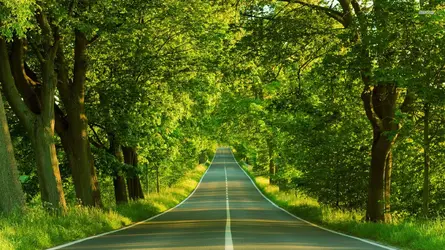 2542-road-1920x1080-nature-wallpaper.webp