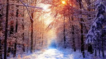 2709-winter-landscape-1920x1080-nature-wallpaper.webp