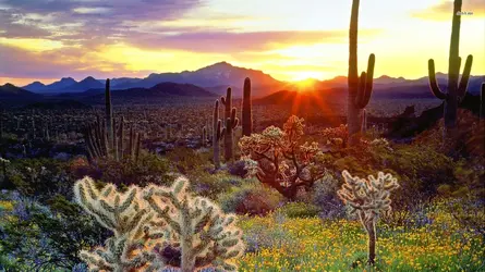8317-sunrise-in-the-desert-1920x1080-nature-wallpaper.webp
