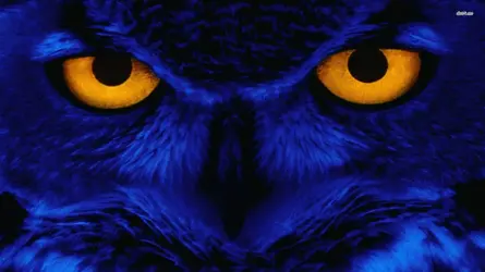 12264-blue-owl-1920x1080-digital-art-wallpaper.webp