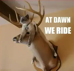 At dawn we ride.webp