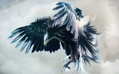 10601-eagle-1280x800-artistic-wallpaper.webp