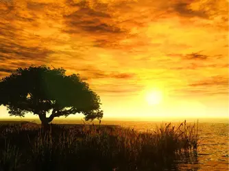 Lakeside_Tree_by_simzcom.webp