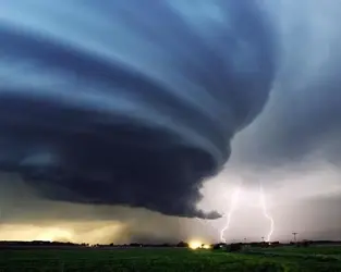 Twister.webp