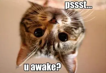 Are you awake.webp