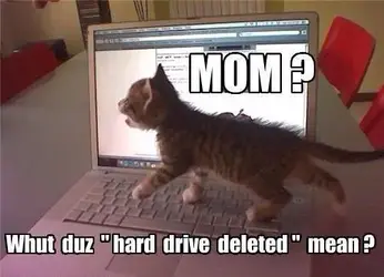 Hard Drive.webp