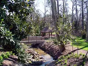 bridge_small.webp