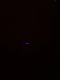 1407989989459.webp