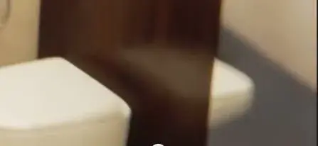 Disappearing bidet two.webp