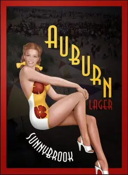 Auburne Lager.webp