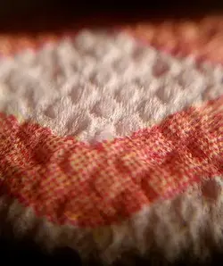 closeup.webp