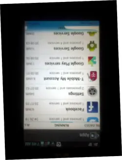 pic1.webp