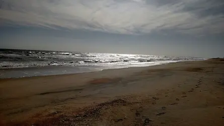 beach112015.webp