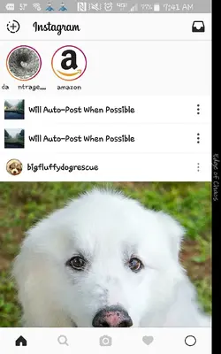 instagram won't upload my photos.webp