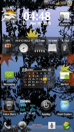 snap20101119_164834.webp