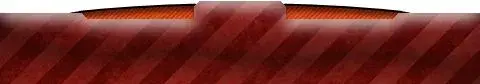 myLPPdock.webp