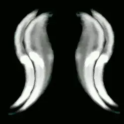 1291257659690.webp