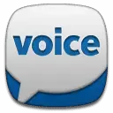 google_voice_2.webp