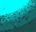 background.webp