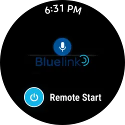 Screenshot_20250329_183136_bluelink.webp