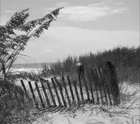 myrtle_beach_dunes_960x854_charliej-1.webp