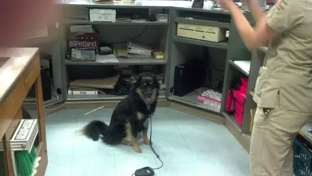 2012-04-19_20-20-33_259.webp