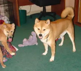 6040_1077654741208_1044676_n.webp