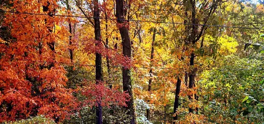 ForumRunner_20121019_140802.webp